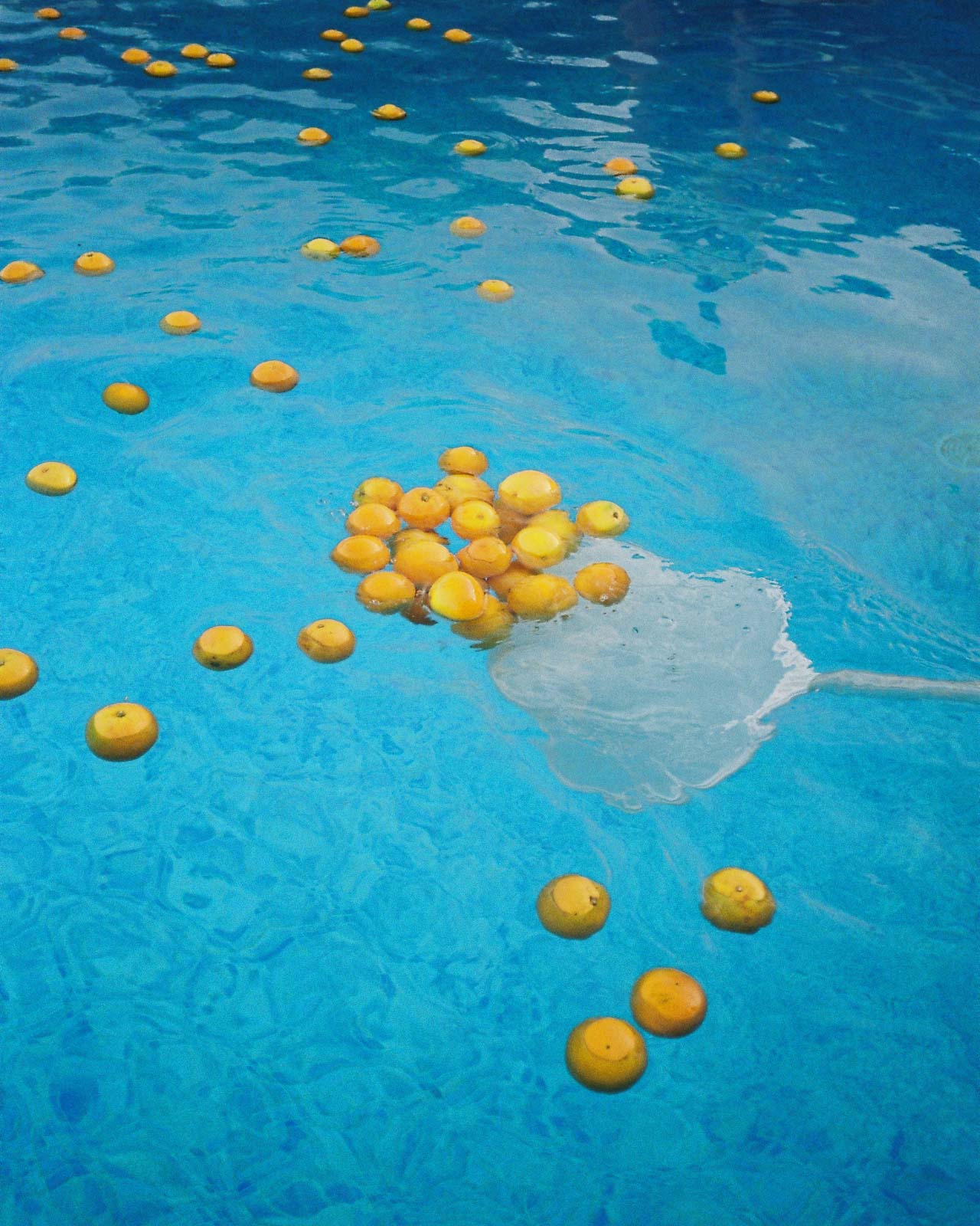 storm wes analog diary portugal 2019 shot with yashica t4