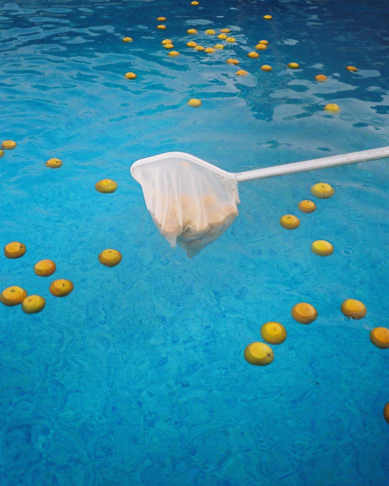 storm wes analog diary portugal 2019 shot with yashica t4